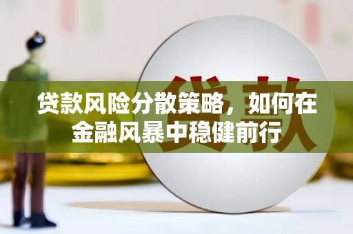 循化贷款风险分散策略，如何在金融风暴中稳健前行