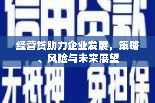 循化经营贷助力企业发展，策略、风险与未来展望