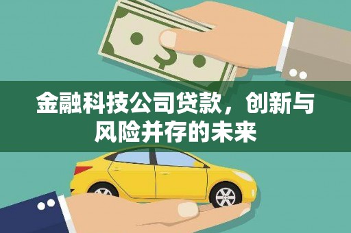 循化金融科技公司贷款，创新与风险并存的未来