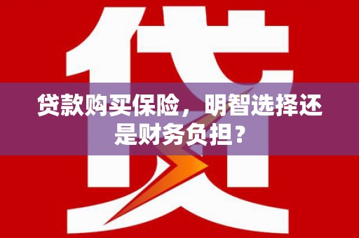 循化贷款购买保险，明智选择还是财务负担？