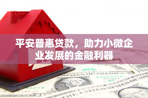 循化平安普惠贷款，助力小微企业发展的金融利器
