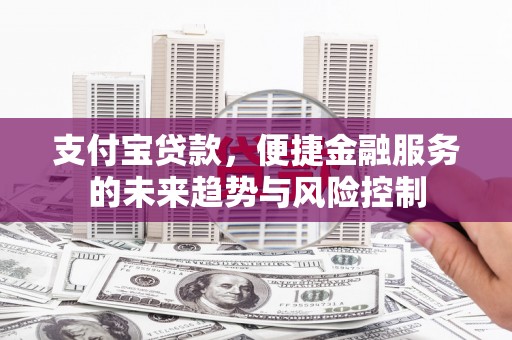 循化支付宝贷款，便捷金融服务的未来趋势与风险控制