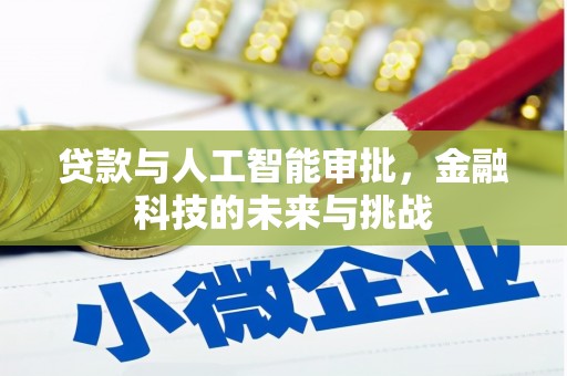 循化贷款与人工智能审批，金融科技的未来与挑战