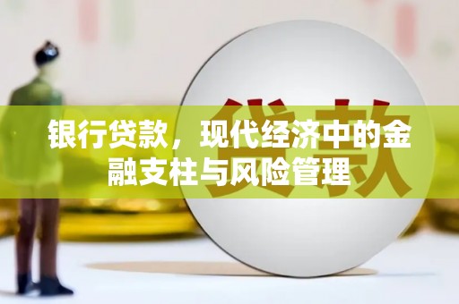 循化银行贷款，现代经济中的金融支柱与风险管理