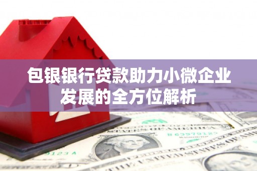 循化包银银行贷款助力小微企业发展的全方位解析 循化包银银行贷款助力小微企业发展的全方位解析