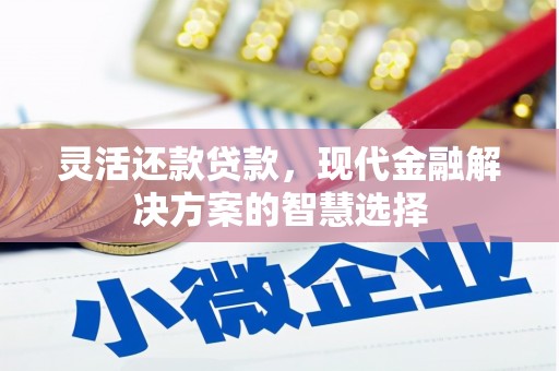 循化灵活还款贷款，现代金融解决方案的智慧选择