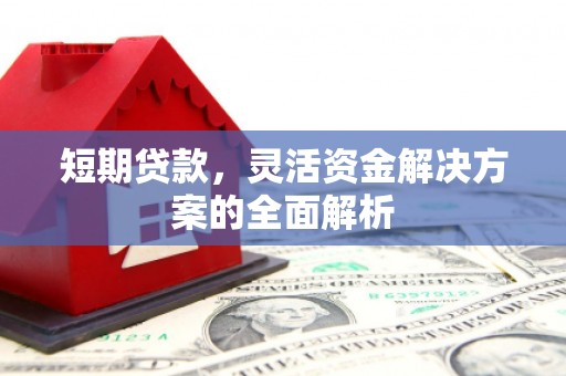 循化短期贷款，灵活资金解决方案的全面解析