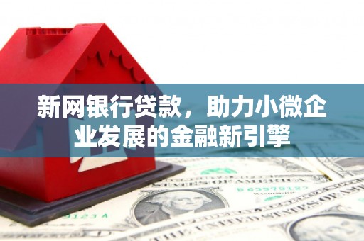 循化新网银行贷款，助力小微企业发展的金融新引擎