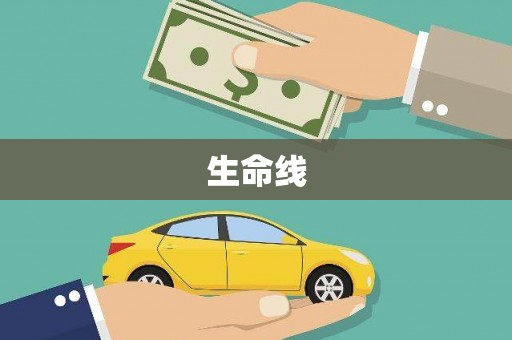 循化生命线