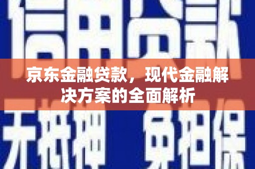 循化京东金融贷款，现代金融解决方案的全面解析