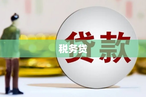 循化税务贷