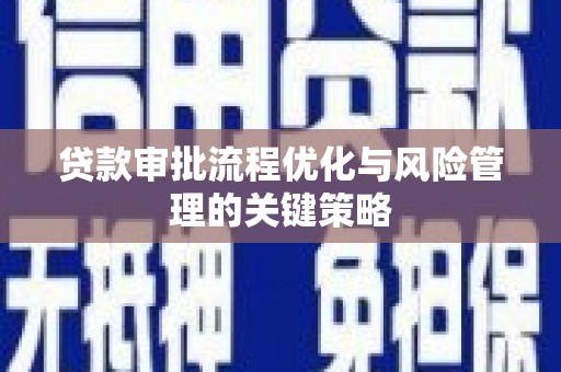 循化贷款审批流程优化与风险管理的关键策略