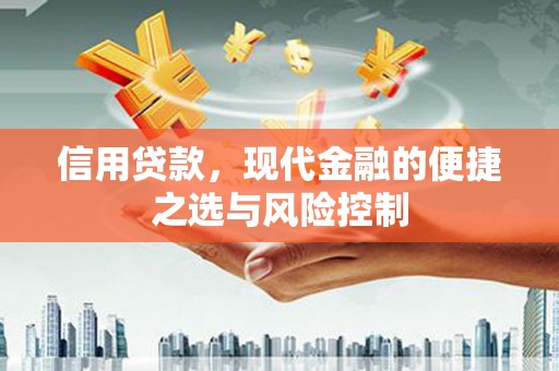 循化信用贷款，现代金融的便捷之选与风险控制