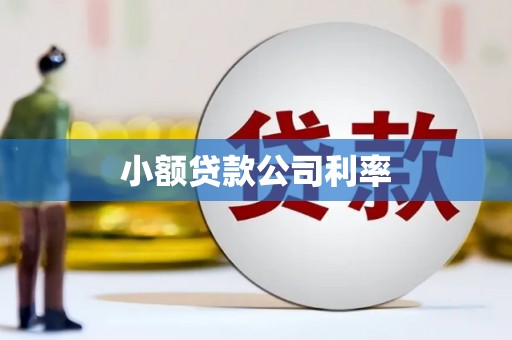 循化小额贷款公司利率