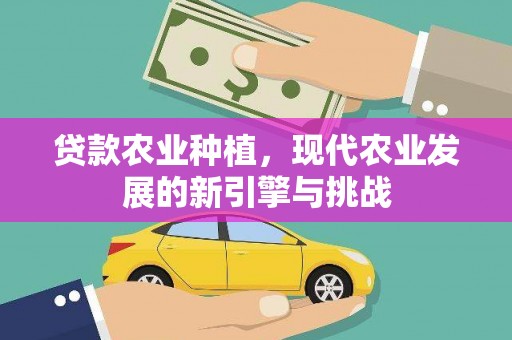 循化贷款农业种植，现代农业发展的新引擎与挑战