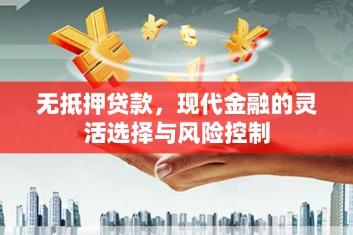 循化无抵押贷款，现代金融的灵活选择与风险控制