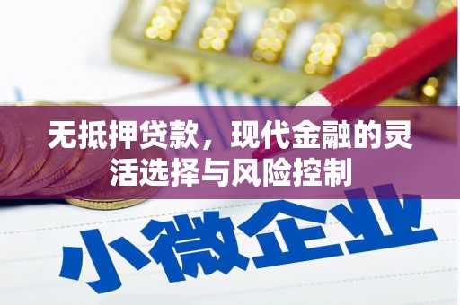循化无抵押贷款，现代金融的灵活选择与风险控制
