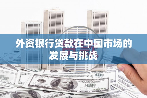 循化外资银行贷款在中国市场的发展与挑战