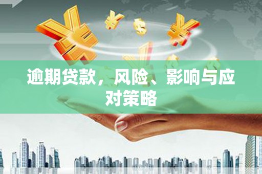 循化逾期贷款，风险、影响与应对策略