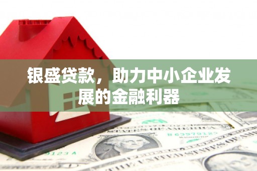 循化银盛贷款，助力中小企业发展的金融利器