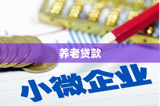 循化养老贷款