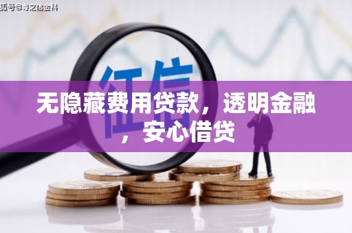 循化无隐藏费用贷款，透明金融，安心借贷