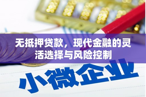 循化无抵押贷款，现代金融的灵活选择与风险控制
