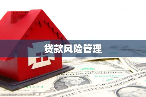 循化贷款风险管理