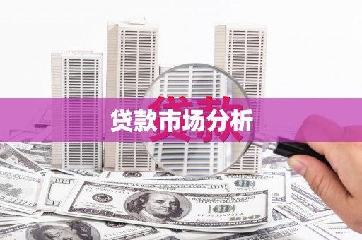 循化贷款市场分析