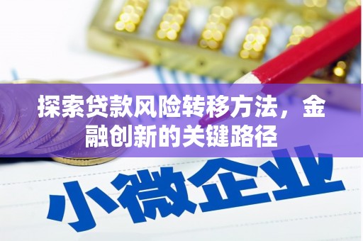 循化探索贷款风险转移方法，金融创新的关键路径