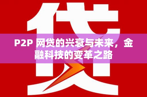 循化P2P 网贷的兴衰与未来，金融科技的变革之路