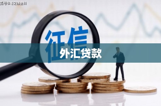 循化外汇贷款