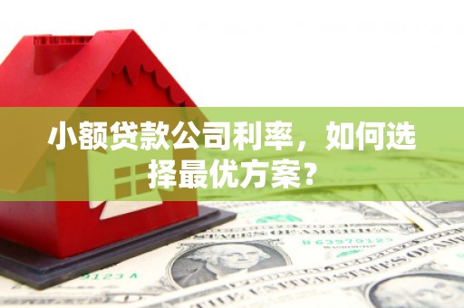循化小额贷款公司利率，如何选择最优方案？