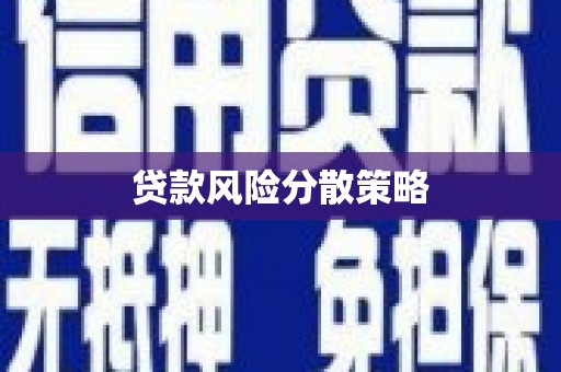 循化贷款风险分散策略