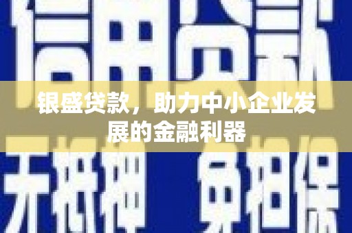 循化银盛贷款，助力中小企业发展的金融利器