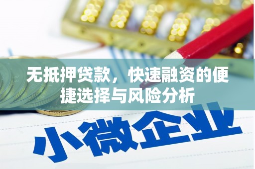 循化无抵押贷款，快速融资的便捷选择与风险分析