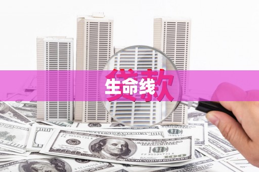 循化生命线