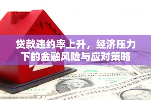 循化贷款违约率上升，经济压力下的金融风险与应对策略