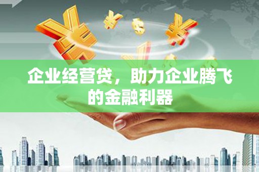 循化企业经营贷，助力企业腾飞的金融利器