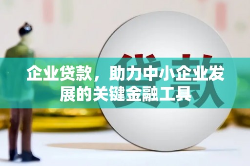 循化企业贷款，助力中小企业发展的关键金融工具
