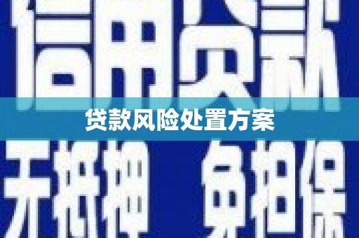 循化贷款风险处置方案