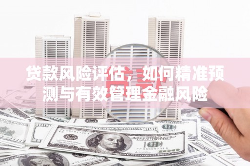 循化贷款风险评估，如何精准预测与有效管理金融风险