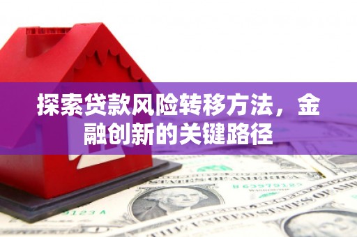循化探索贷款风险转移方法，金融创新的关键路径