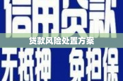 循化贷款风险处置方案