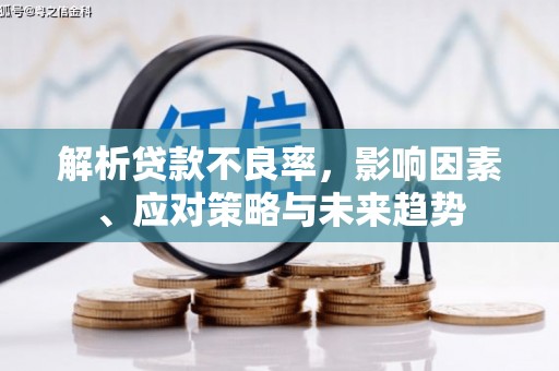 循化解析贷款不良率，影响因素、应对策略与未来趋势