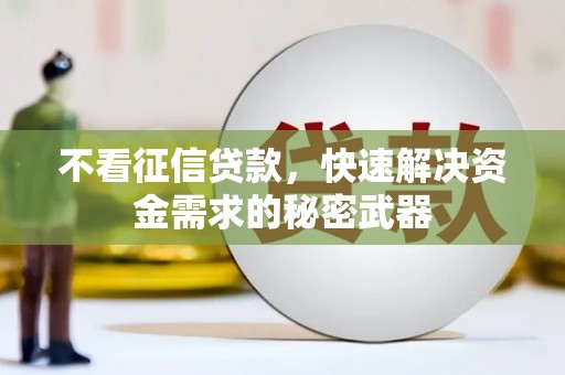 循化不看征信贷款，快速解决资金需求的秘密武器