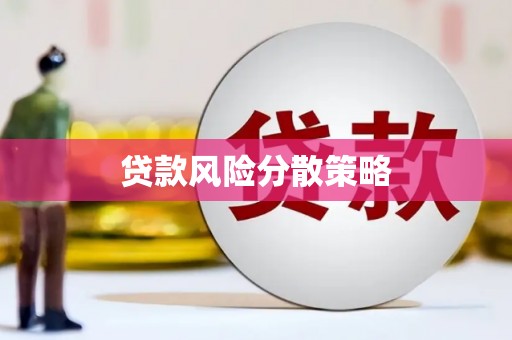 循化贷款风险分散策略