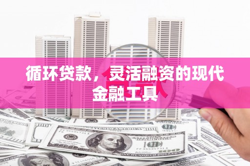 循化循环贷款，灵活融资的现代金融工具