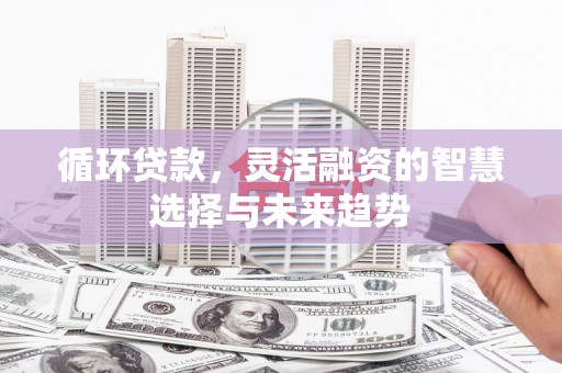 循化循环贷款，灵活融资的智慧选择与未来趋势