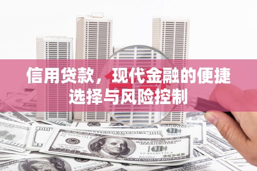 循化信用贷款，现代金融的便捷选择与风险控制
